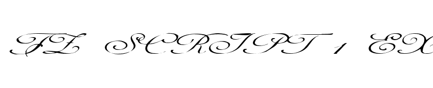 FZ SCRIPT 1 EX