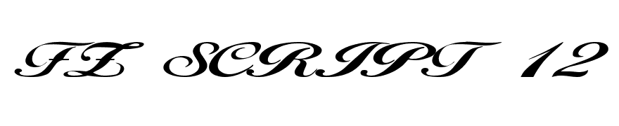 FZ SCRIPT 12 EX