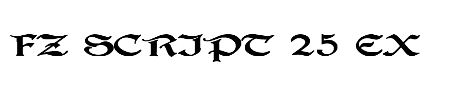 FZ SCRIPT 25 EX