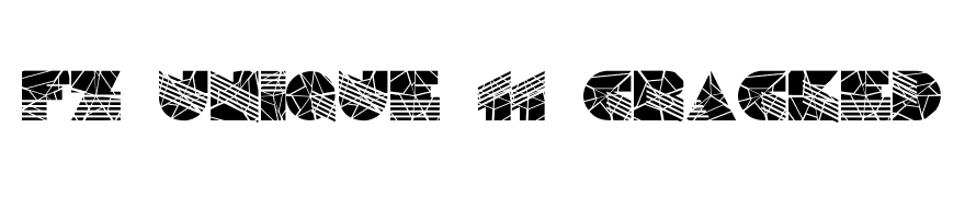 FZ UNIQUE 11 CRACKED