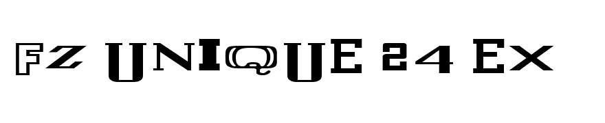 FZ UNIQUE 24 EX