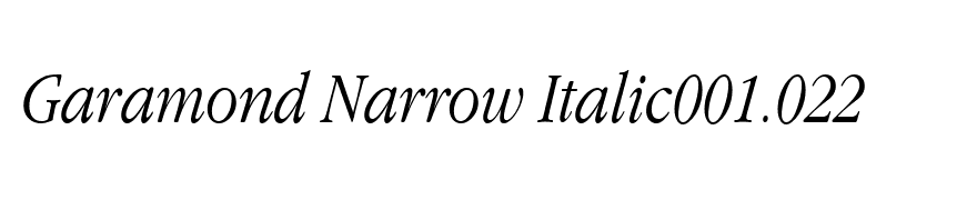 Garamond Narrow Italic001.022