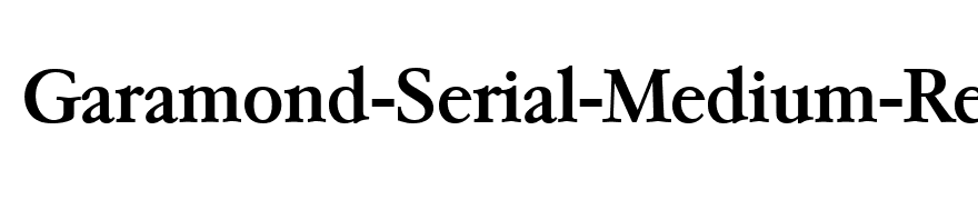 Garamond-Serial-Medium-Regular