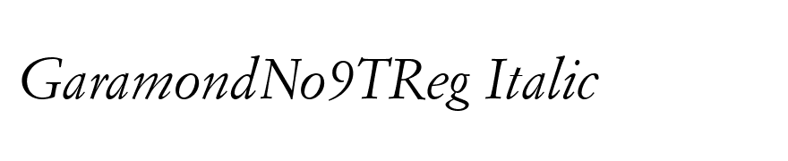 GaramondNo9TReg Italic
