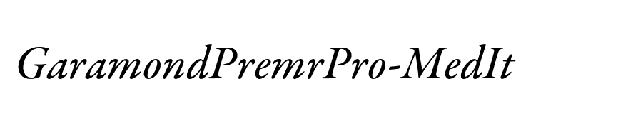 GaramondPremrPro-MedIt