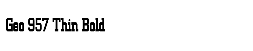 Geo 957 Thin Bold