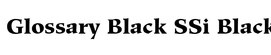 Glossary Black SSi Black