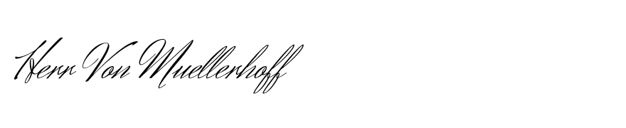 Herr Von Muellerhoff