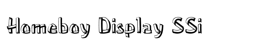 Homeboy Display SSi