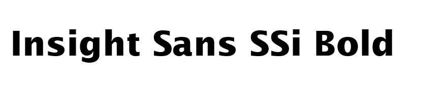 Insight Sans SSi Bold