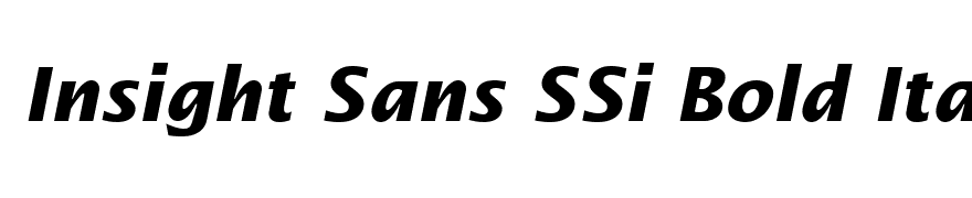 Insight Sans SSi Bold Italic