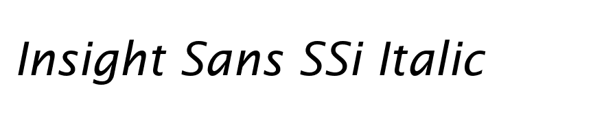 Insight Sans SSi Italic