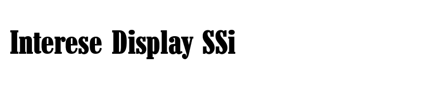 Interese Display SSi