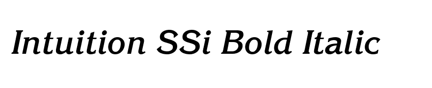 Intuition SSi Bold Italic