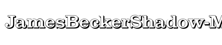 JamesBeckerShadow-Medium-Regular