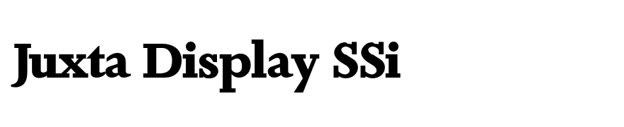 Juxta Display SSi