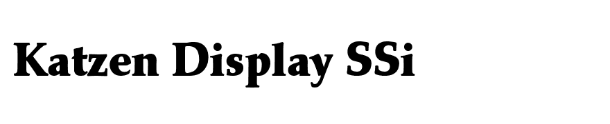 Katzen Display SSi
