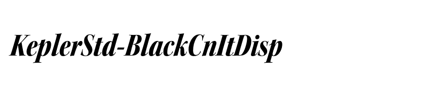KeplerStd-BlackCnItDisp