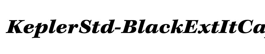 KeplerStd-BlackExtItCapt
