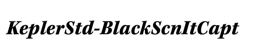 KeplerStd-BlackScnItCapt