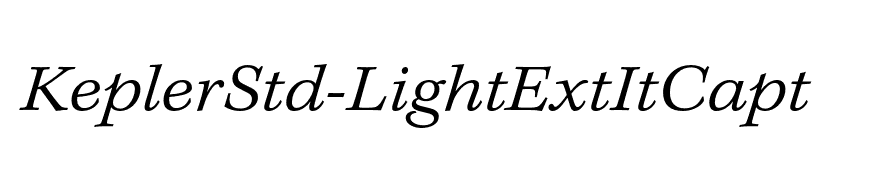 KeplerStd-LightExtItCapt