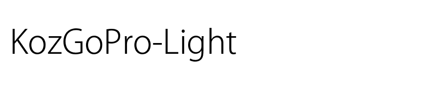 KozGoPro-Light