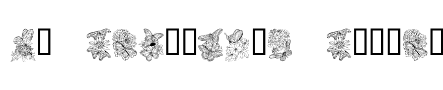 KR Beautiful Butterfly