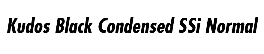 Kudos Black Condensed SSi Normal