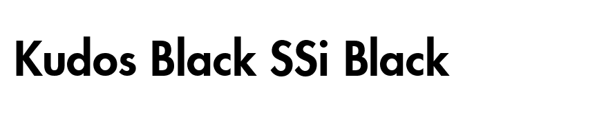 Kudos Black SSi Black