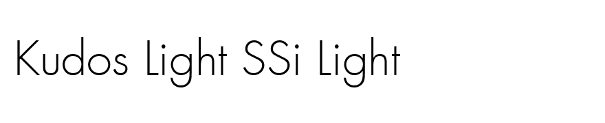 Kudos Light SSi Light