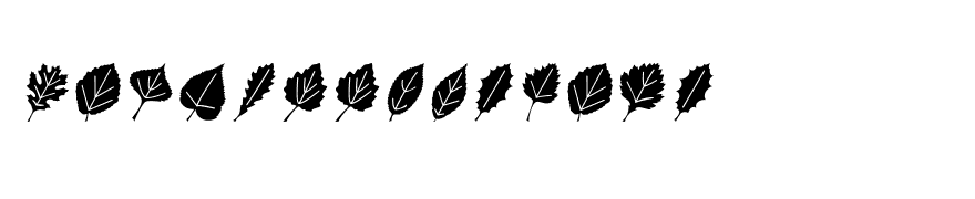 LeafAssortment