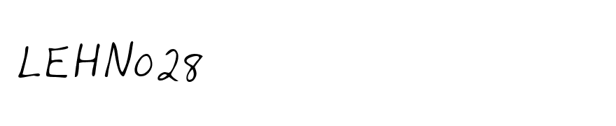 LEHN028