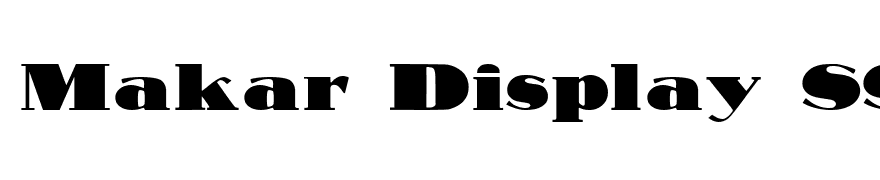 Makar Display SSi