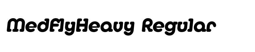 MedflyHeavy Regular