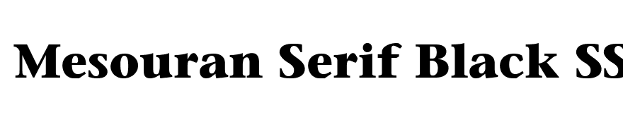 Mesouran Serif Black SSi Bold