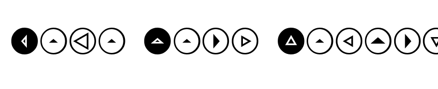 Mini Pics Directional RT