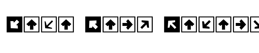 Mini Pics Directional SA