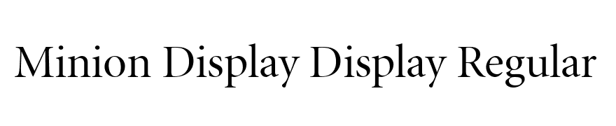 Minion Display Display Regular