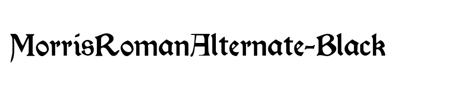MorrisRomanAlternate-Black