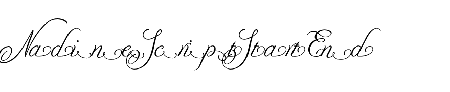 NadineScriptStartEnd