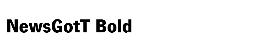 NewsGotT Bold