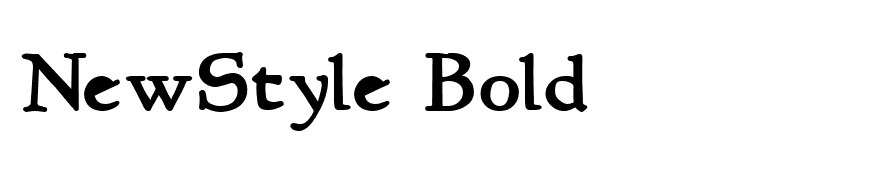 NewStyle Bold