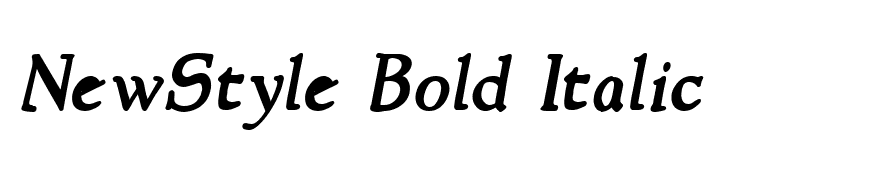 NewStyle Bold Italic