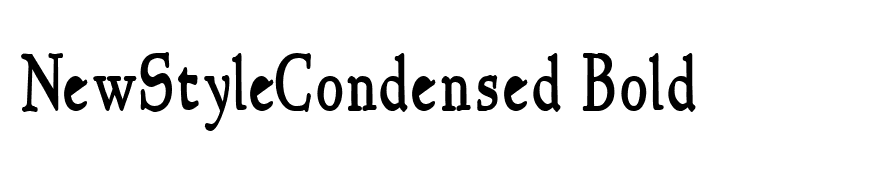 NewStyleCondensed Bold