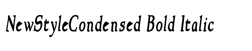 NewStyleCondensed Bold Italic