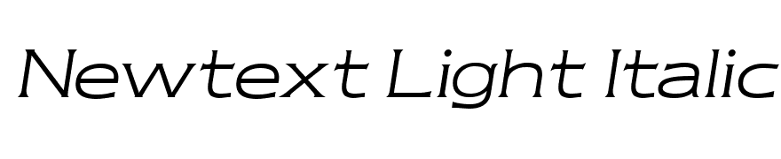 Newtext Light Italic