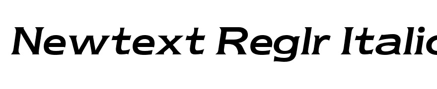 Newtext Reglr Italic