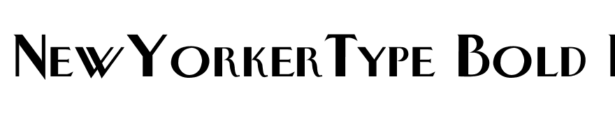 NewYorkerType Bold PDF