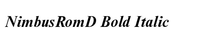 NimbusRomD Bold Italic