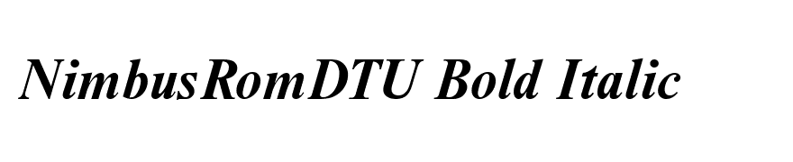 NimbusRomDTU Bold Italic